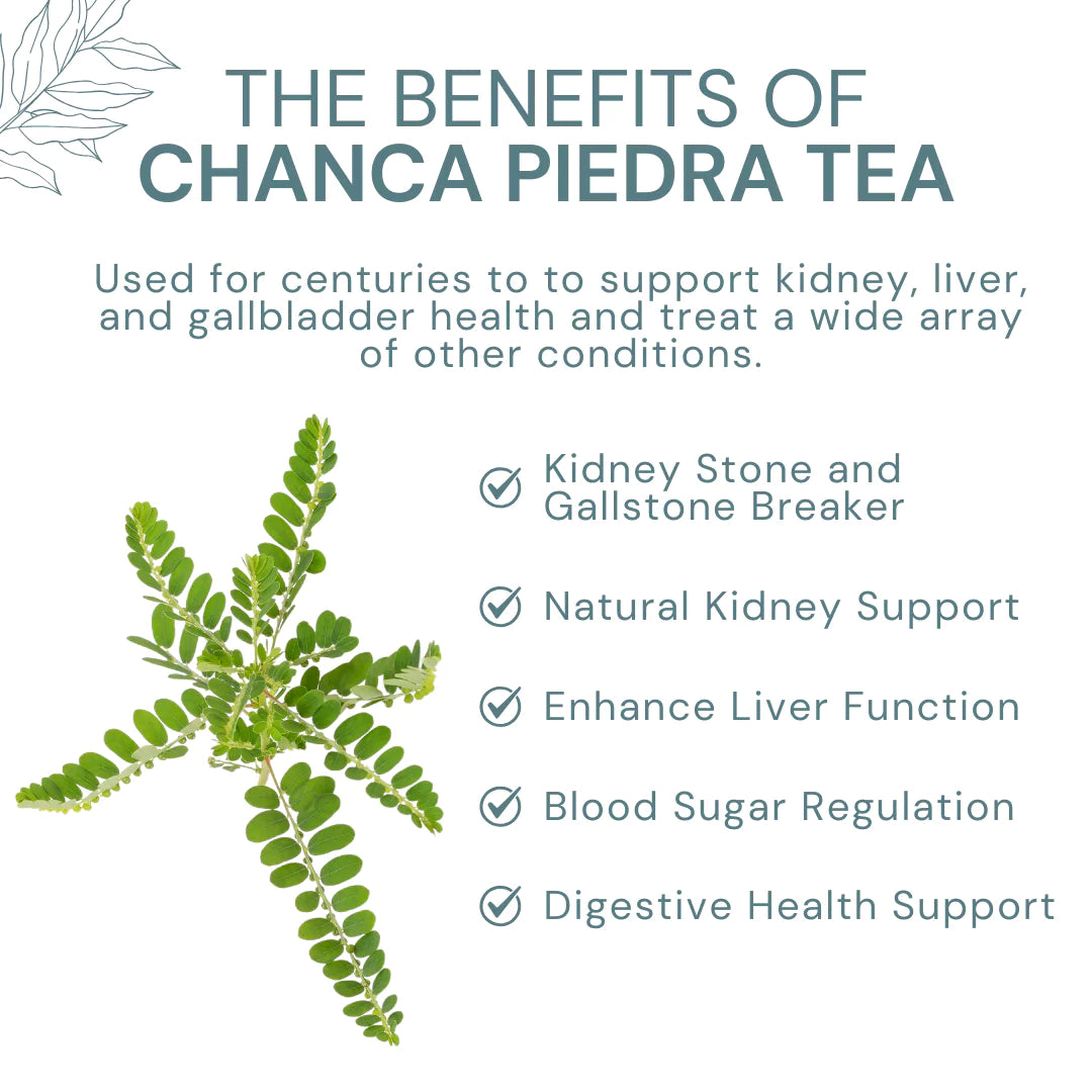 The Benefits of Chanca Piedra Teqa